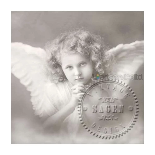 Винтидж салфетки Sagen Vintage