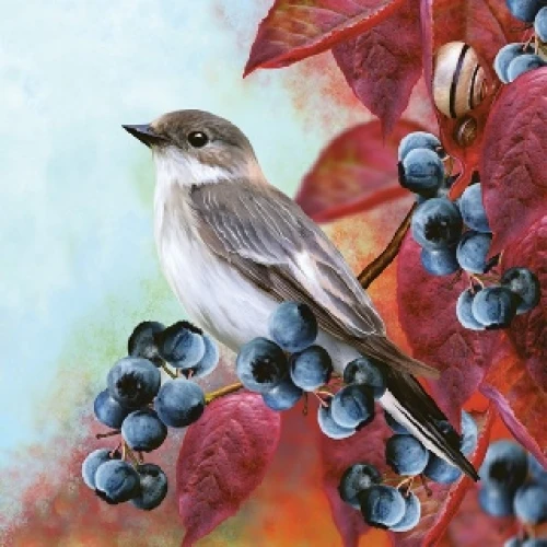 Животни салфетки - животни