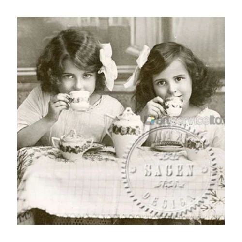 Винтидж салфетки Sagen Vintage