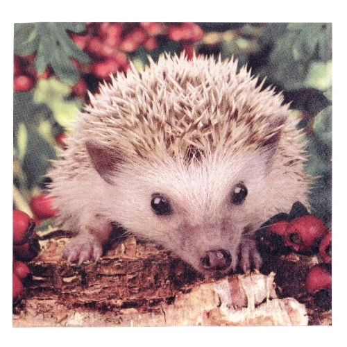 Животни салфетки - животни