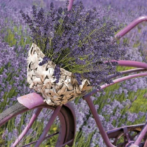 Животни салфетки