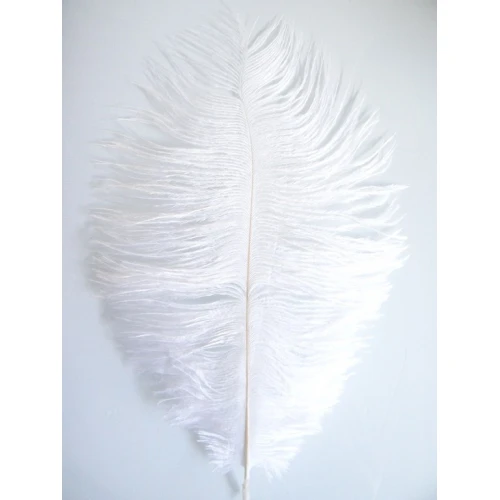 Други пера за декорация