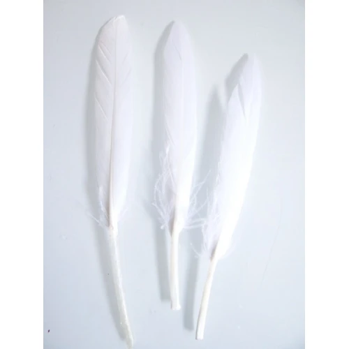 Други пера за декорация