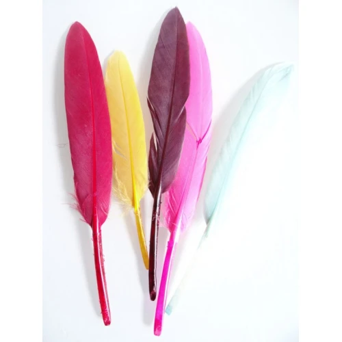 Други пера за декорация