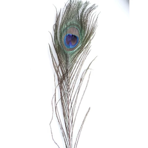 Други пера за декорация