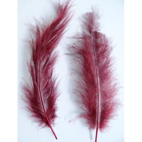 Други пера за декорация