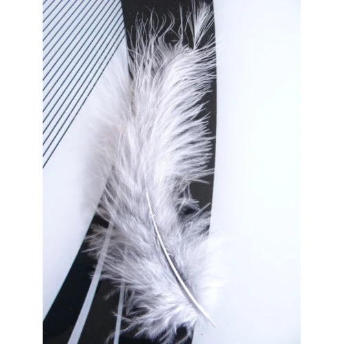 Други пера за декорация