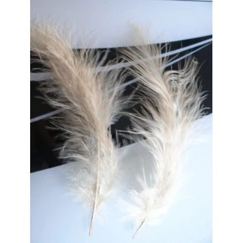 Други пера за декорация