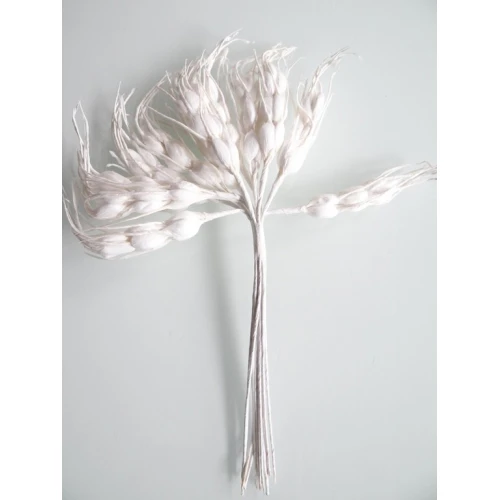 Други клонка за декорация