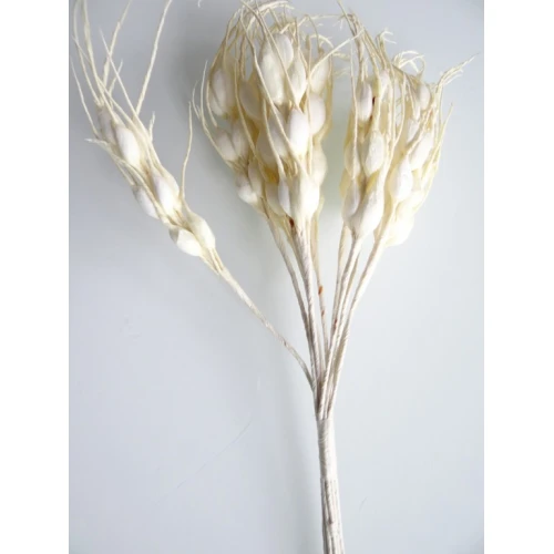 Гривни дамска гривна