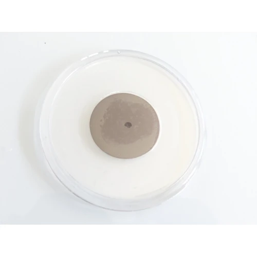 Други пластмасова основа с магнит