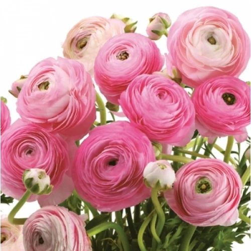 Цветя салфетки - цветя