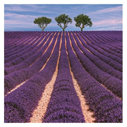 Цветя салфетки - цветя