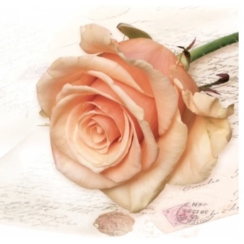 Цветя салфетки - цветя